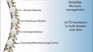 eCTD Submissions Electronic Common Technical Document with CTI [upl. by Emawk688]