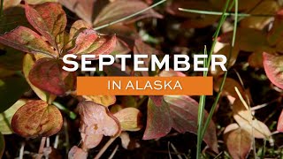 Alaskaorg  September in Alaska [upl. by Anahsar]