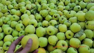 wardak apple دوردګو ښایسته مڼې [upl. by Encratia34]