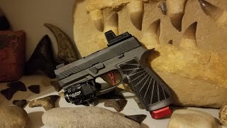 Sig Sauer P320 Compact UpGrades Wilson Combat Grip Armory Craft Trigger and Romeo Zero [upl. by Aretahs]