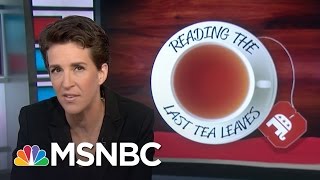 Donald Trump Losing With Educated Voters By Wide Margin  Rachel Maddow  MSNBC [upl. by Williamsen]