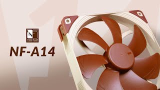 Noctua NFA14 Review  UNBEATEN After 10 Years [upl. by Wardlaw]