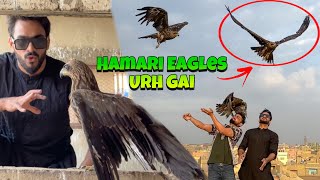 HAMARI EAGLES URH GAI 😭  EAGLES BABIES MISHKAT KHAN  THE FUN FIN [upl. by Kennan580]