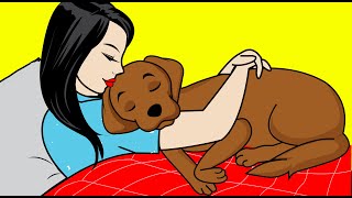 10 Scientific Ways To Know If Your Dog Loves You [upl. by Connelley172]