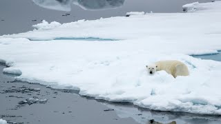 14Day Spectacular Svalbard amp Greenland [upl. by Aivon]