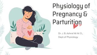 Physiology of Pregnancy by Dr JB Ashraf Ali MD [upl. by Diarmit441]