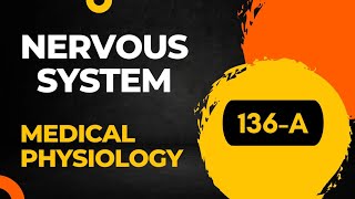 Receptors of nervous system part1 136  Sembulingam Physiology II Sensory Receptors CNS [upl. by Arretal]