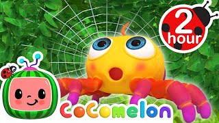 Itsy Bitsy Spider 2D  More Nursery Rhymes amp Kids Songs  CoCoMelon [upl. by Ethban758]