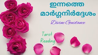 ☀️SUNDAY MESSAGES🔮Nov 3 ഗൈഡൻസ് 🧿🎋malayalam pickacard daily energy sunday happy [upl. by Ycats]