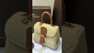 Delvaux Brillant bag [upl. by Dex]