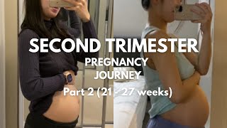 Second Trimester Part 2 Pregnancy Journey [upl. by Joannes]