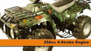 250cc Utility Quad ATV For Sale [upl. by Dlareg]