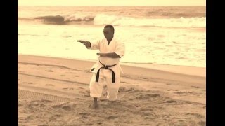 Matsumura no Passai of Sensei Bud Morgan [upl. by Lamb975]