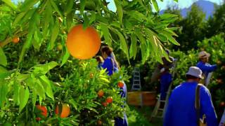 Del Monte commercial [upl. by Rosco]