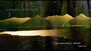 The Harmonic Forest Part 2 Memory of Water The Harmonic Harmonic Forest Part 2 Memory of Water [upl. by Arimahs]