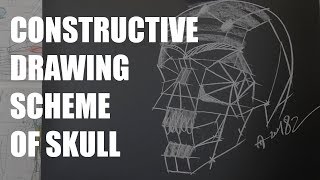 Constructive Drawing  Scheme of Skull timelapse [upl. by Berl]