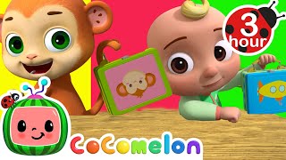 Picnic at the Park Lunch Box Song  Cocomelon  Nursery Rhymes  Fun Cartoons For Kids [upl. by Asilak245]