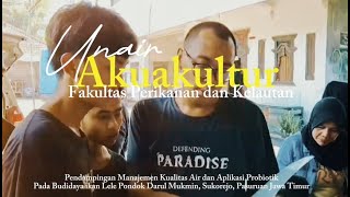 Rahasia Sukses Budidaya Lele Probiotik amp Kualitas Air Optimal [upl. by Jenkel561]