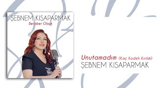 Şebnem Kısaparmak  Unutamadım Kaç Kadeh Kırıldı  Official Audio Video [upl. by Remlap]