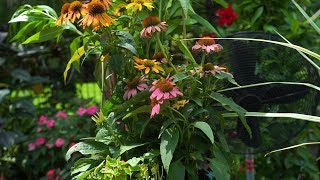 Making a Butterfly Garden Planter [upl. by Laveen]