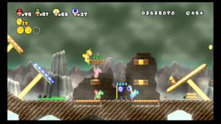 Newer Super Mario Bros Wii  World 3 22 [upl. by Hubsher]