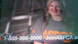 ASPCA TV Commercial quotNigtmare For Them Free Welcome Kitquot 2022 [upl. by Heady765]