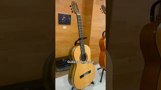 ✅Guitarra FlamencaLuthier Miguel Sánchez Toque Antonio Martín guitarraflamenca flamencoguitar [upl. by Jordan]