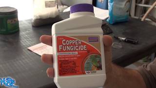 ⟹ Copper fungicide  Bonide  Product overview [upl. by Merdith]