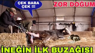 İLK VE ZOR DOĞUMİNEĞİMİZ DOĞUM YAPTISÜTÜNÜ VERMİYOR [upl. by Prouty]