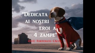 video commovente da dedicare ai cani  quotDedicata ai nostri eroi a 4 zampequot di 4tu© [upl. by Andre]