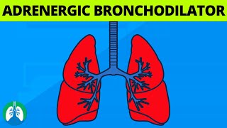 What is an Adrenergic Bronchodilator 💊  Medical Definition [upl. by Dahs]