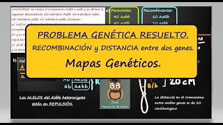 PROBLEMA GENÉTICA RECOMBINACIÓN y DISTANCIA entre dos genes Mapas Genéticos [upl. by Torbart]