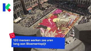 Bloementapijt van 1 miljoen bloemen op de Grote Markt in Brussel [upl. by Evot]