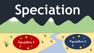 Speciation The Evolutionary Process  Basic Science Series [upl. by Leiva]