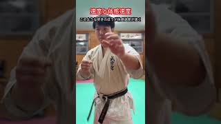 【武道・武術】実際の速度より体感速度の方が圧倒的に重要！！ aikido ＃karate martial 武道 ＃空手＃合気道＃筋トレselfdefens [upl. by Sharos849]