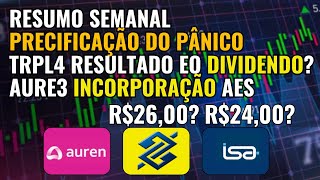 PREÇOS DE PANICO TRPL4 GRANDE DIVIDENDO BBAS3 NOVAMENTE INTERESSANTE [upl. by Artemis]