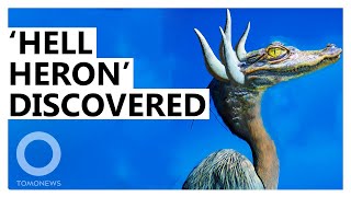 ‘Horned CrocodileFaced Hell Heron’ Dinosaur Discovered [upl. by Nasar]