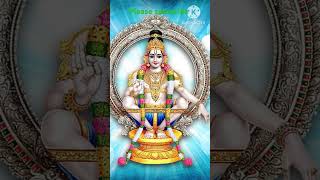 Ayyappa swamy 07  viral shorts  shorts  swamy ye saranam ayyappa [upl. by Anairb]