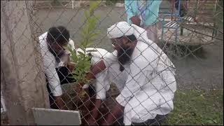 🌲 Tree 🌲 Plantation 🎄 At School 🏫 [upl. by Assirehs]