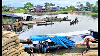 8 DIAS EN EL AMAZONAS VIAJANDO DE MANAOS A TABATINGA [upl. by Mosier173]