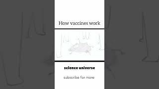 How vaccine works  funnyshorts biology 1million viralshorts [upl. by Anwahsal521]