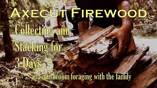 Stacking firewood for Axe Cordwood Challenge Prototype firewood carrier Family picking mushrooms [upl. by Kirt786]