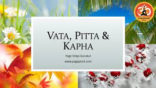 3 Doshas of Ayurveda  Vata Pitta amp Kapha [upl. by Felicity]