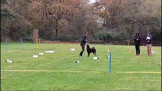 Rally Obedience Turnier beim SG OV Baiersdorf [upl. by Ardnuahs]