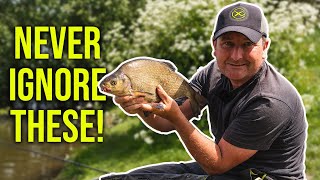 CATCH MORE FISH WHEN FEEDER FISHING Carp or Bream  Method or Cage  Long or Short [upl. by Assir]