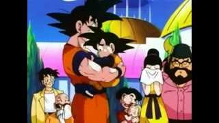 Goku Says Goodbye [upl. by Cullen]