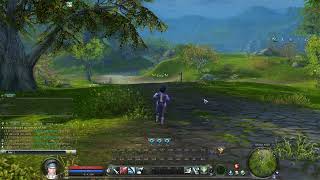 Global Aion 46 Private Server Complete Guide Elyos Side fyp globalaion aion mmo [upl. by Neeluqcaj]