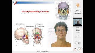 Kemikler Genel Bilgi ve Giriş Tıp Diş Anatomi İnsan Anatomisi TUS DUS SBF Soru çözümü [upl. by Gerfen]