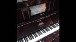 Bei Mir Bist Du Schoen  Steck Pianola Piano [upl. by Jarred400]