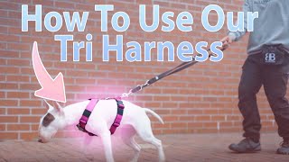 How To Use The Popular TRIHarness v20 AntiPull [upl. by Viridissa]